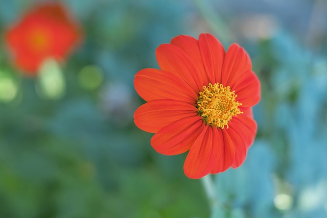 到团队协作 到团队协作